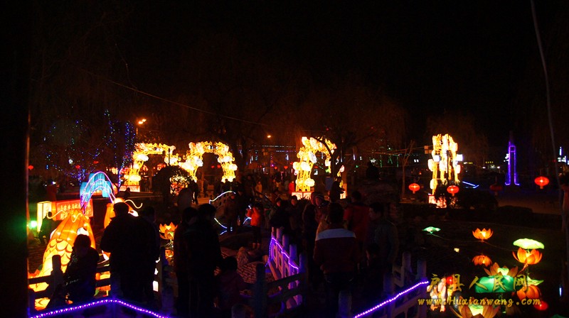 dsc02555.jpg