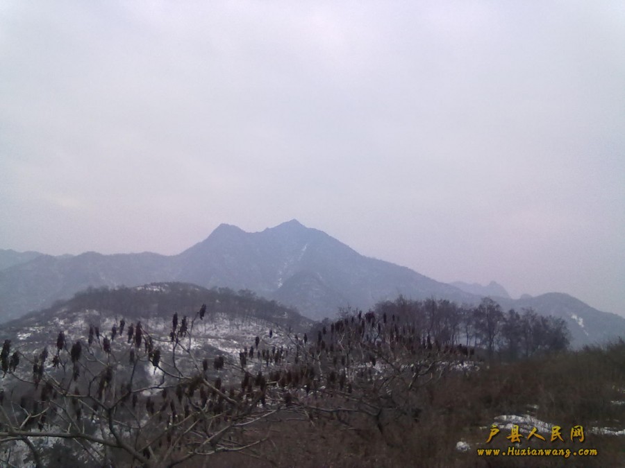 201202042210.jpg