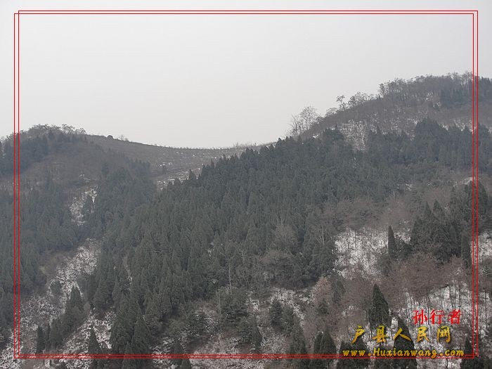 nEO_IMG_DSC00098.jpg