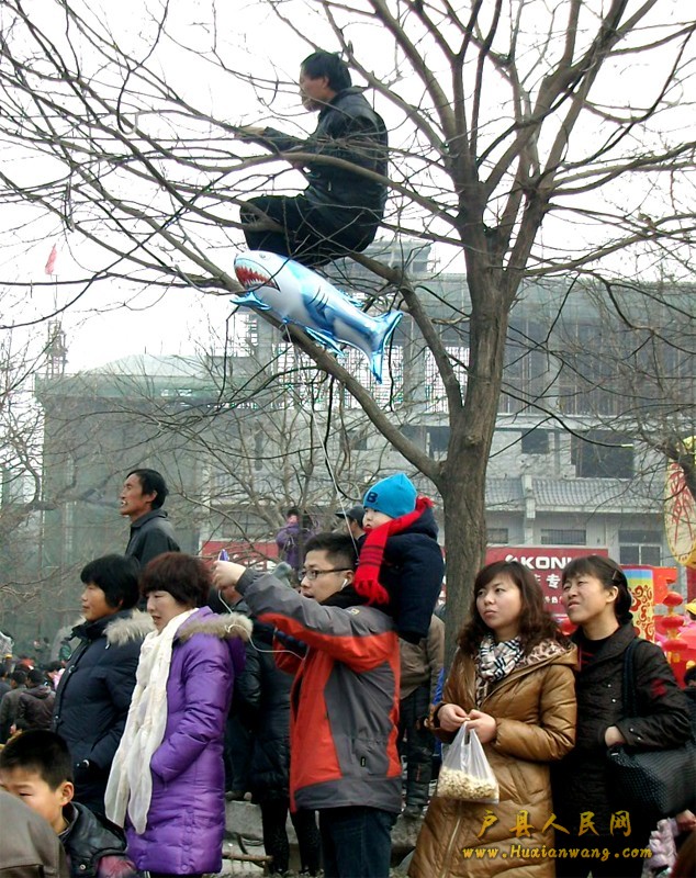 137.jpg