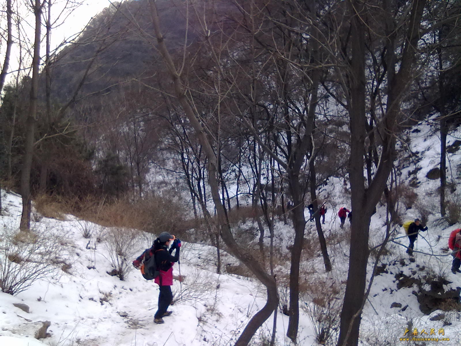 201202112322.jpg