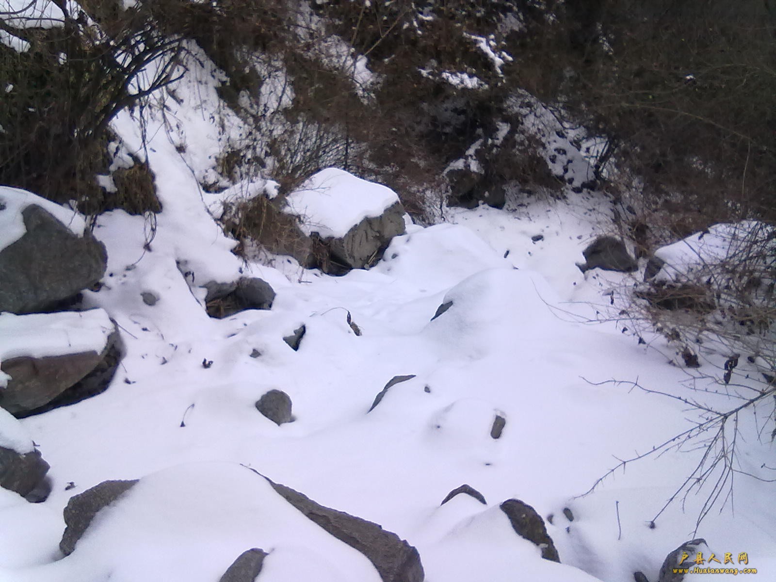 201202112344.jpg