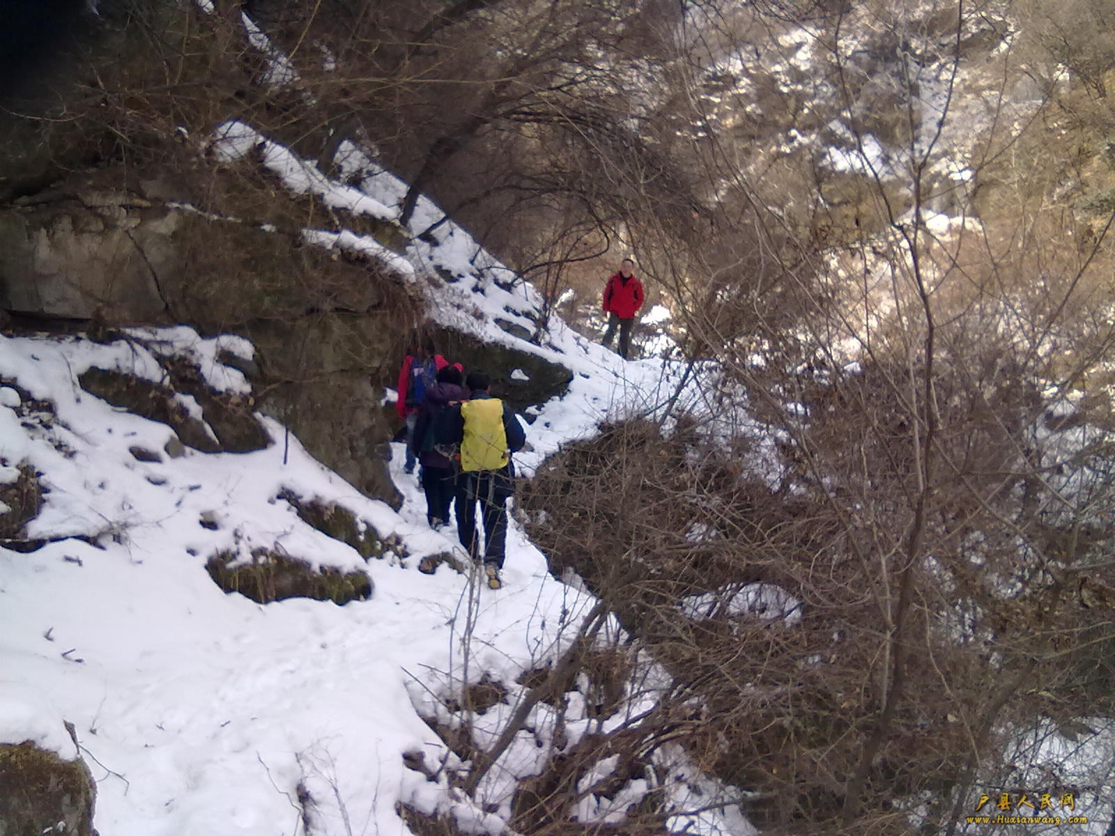 201202112350.jpg