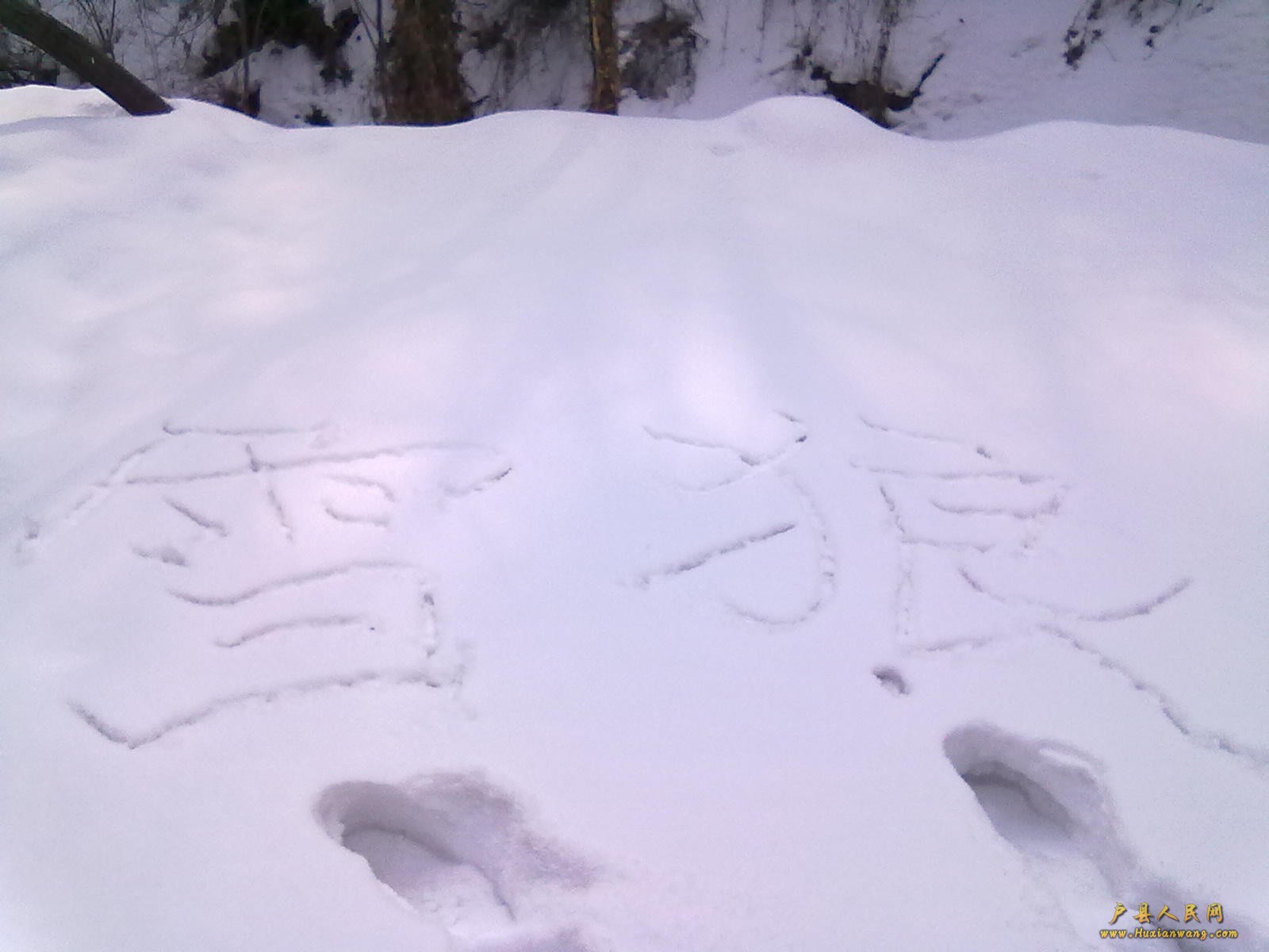 201202112352.jpg