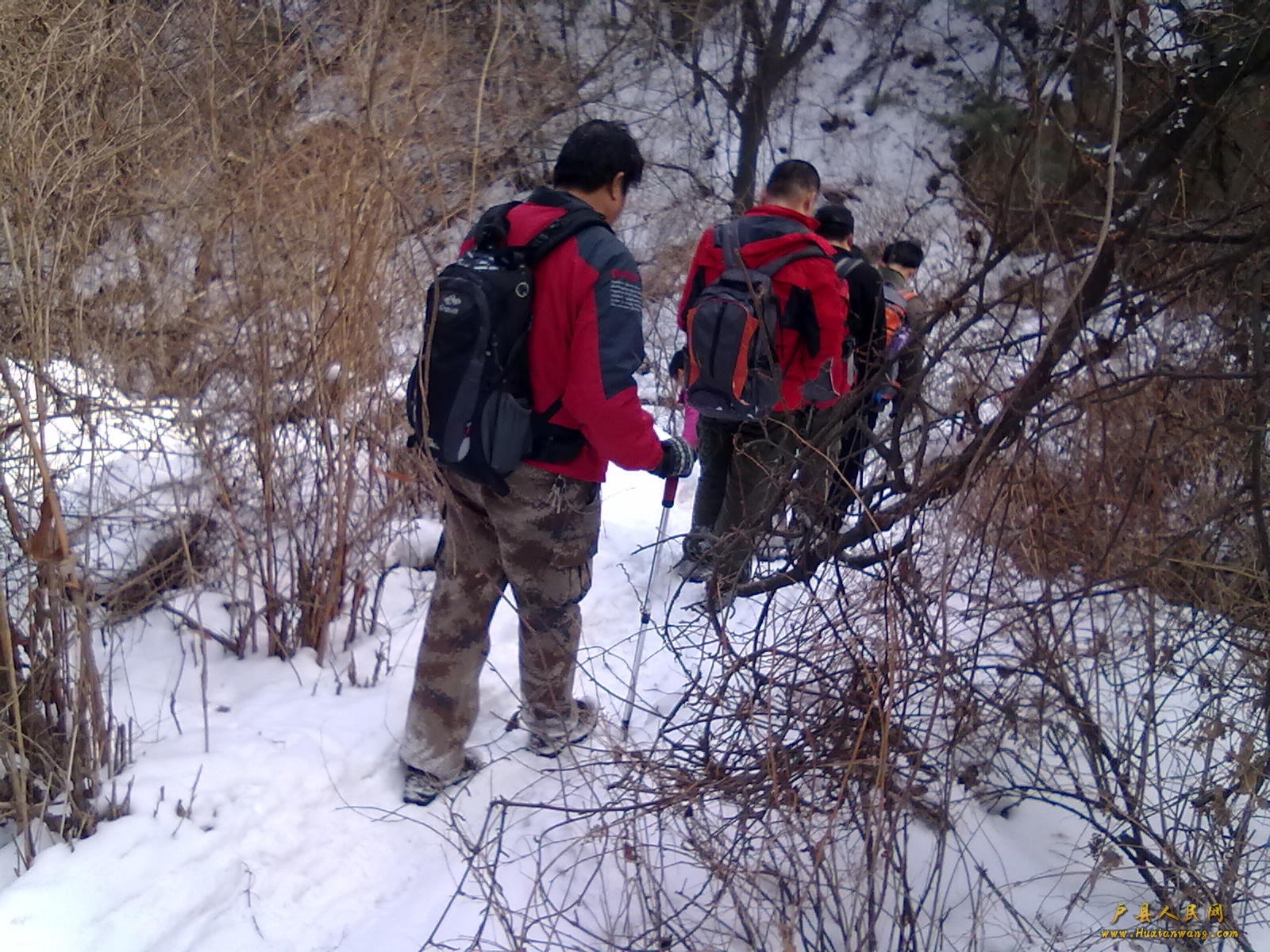 201202112355.jpg