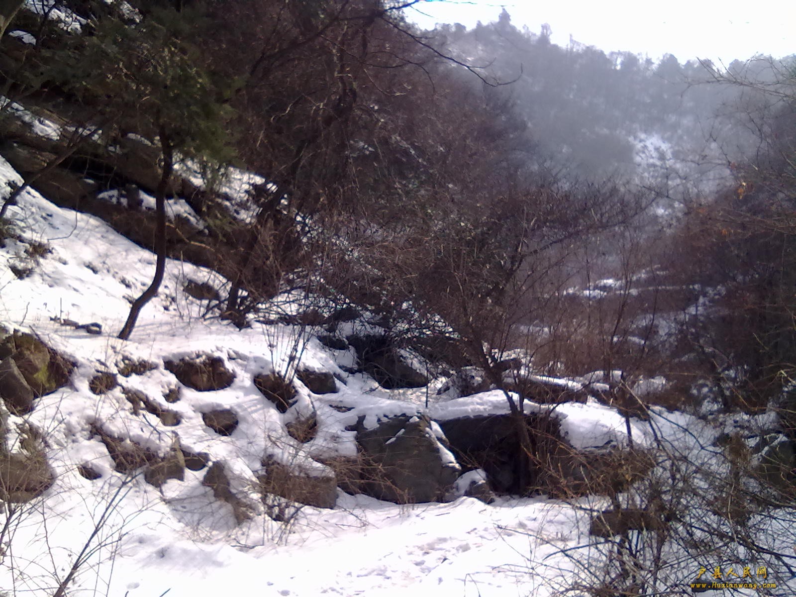 201202112362.jpg