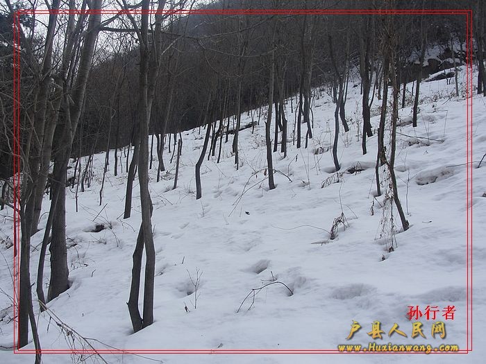 nEO_IMG_DSC00373.jpg
