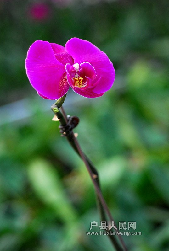 DSC_0597.JPG