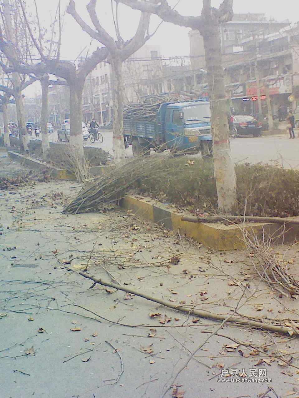 201202201707531.jpg