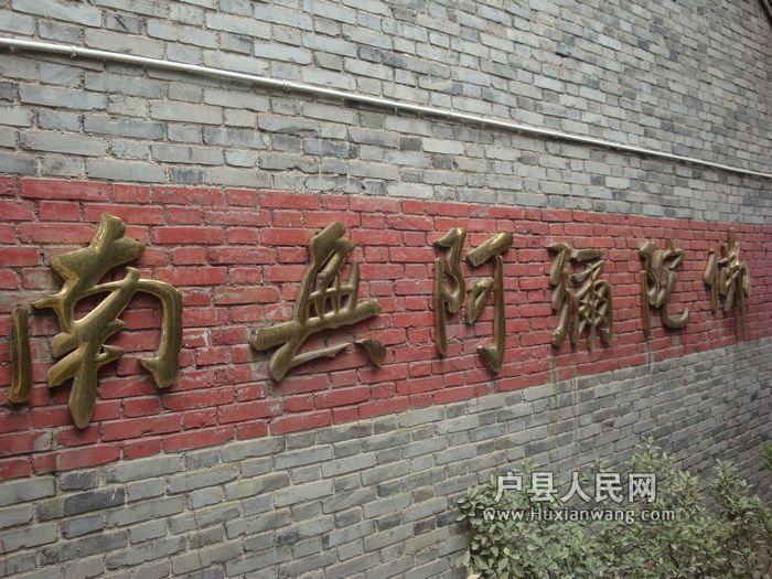 DSC07142.jpg
