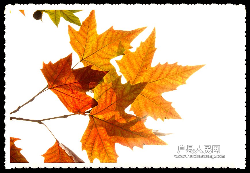 DSC00926_.jpg