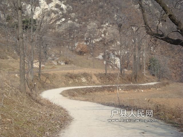 DSC07208.jpg