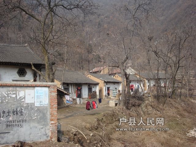 DSC07209.jpg