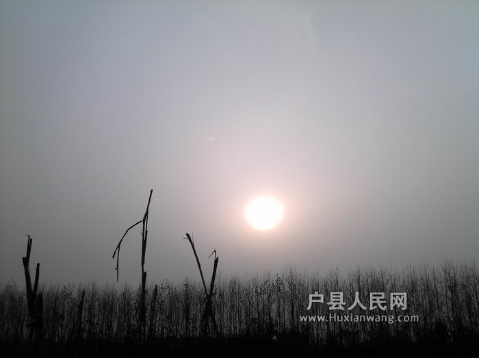 IMG_20120316_180452.jpg