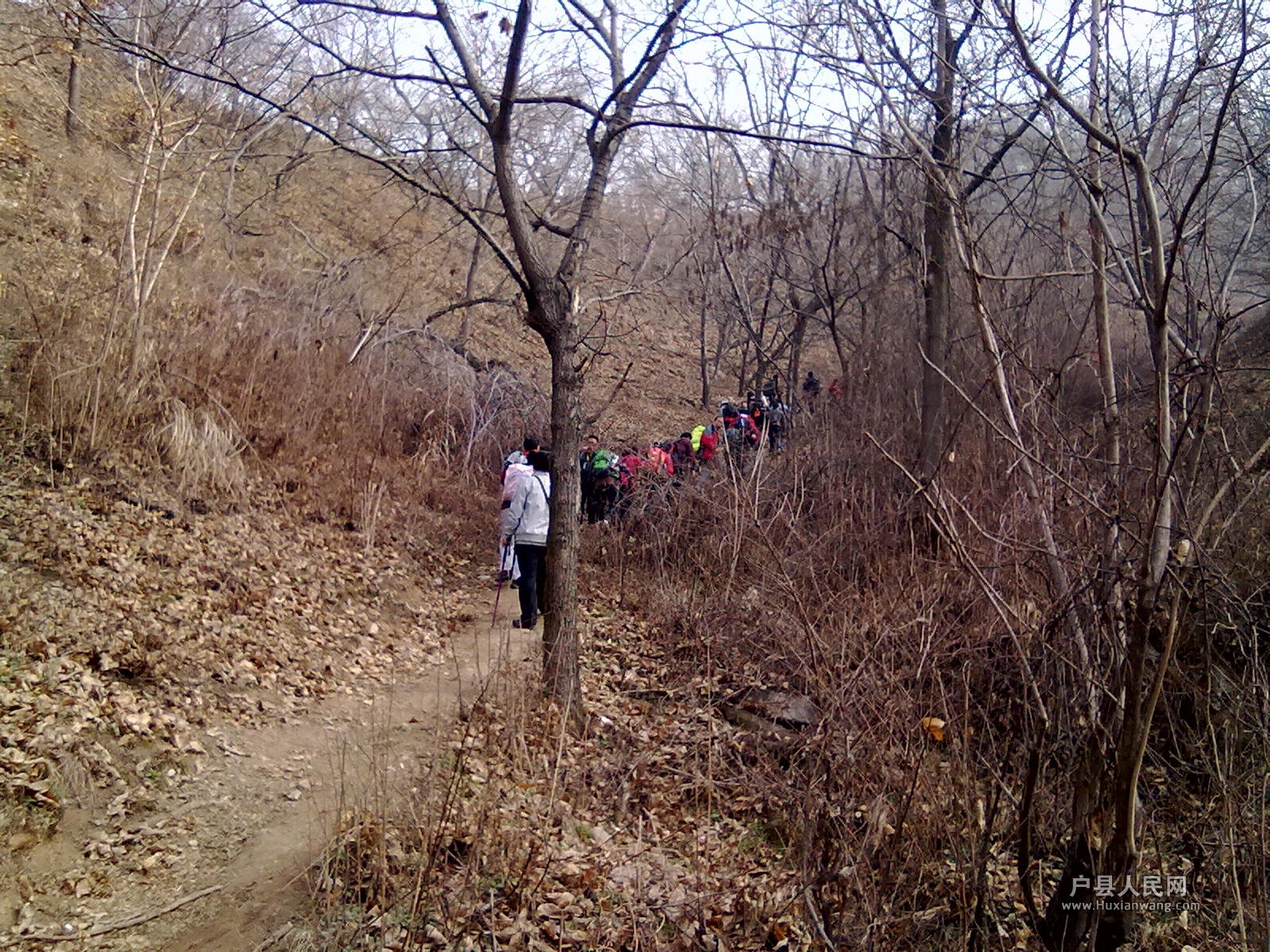 201203172404.jpg