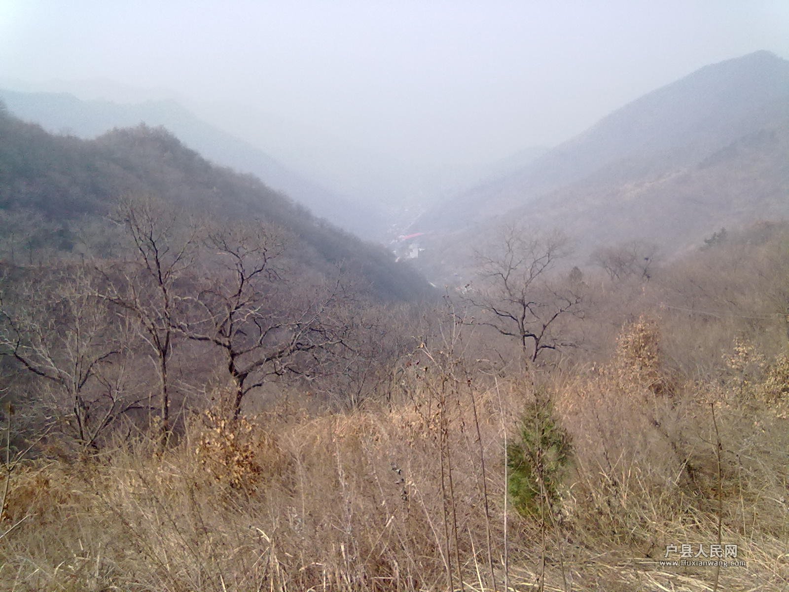 201203172406.jpg