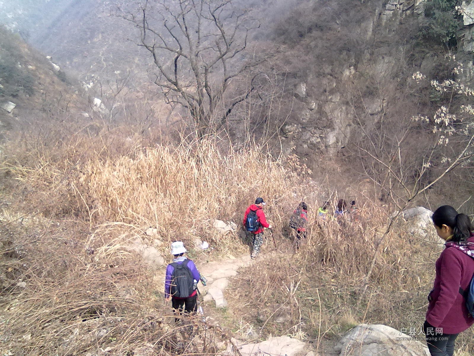 201203172428.jpg