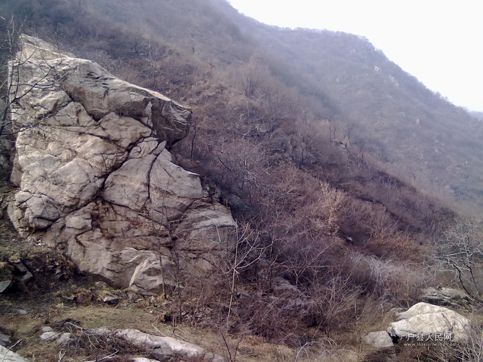 201203172440.jpg