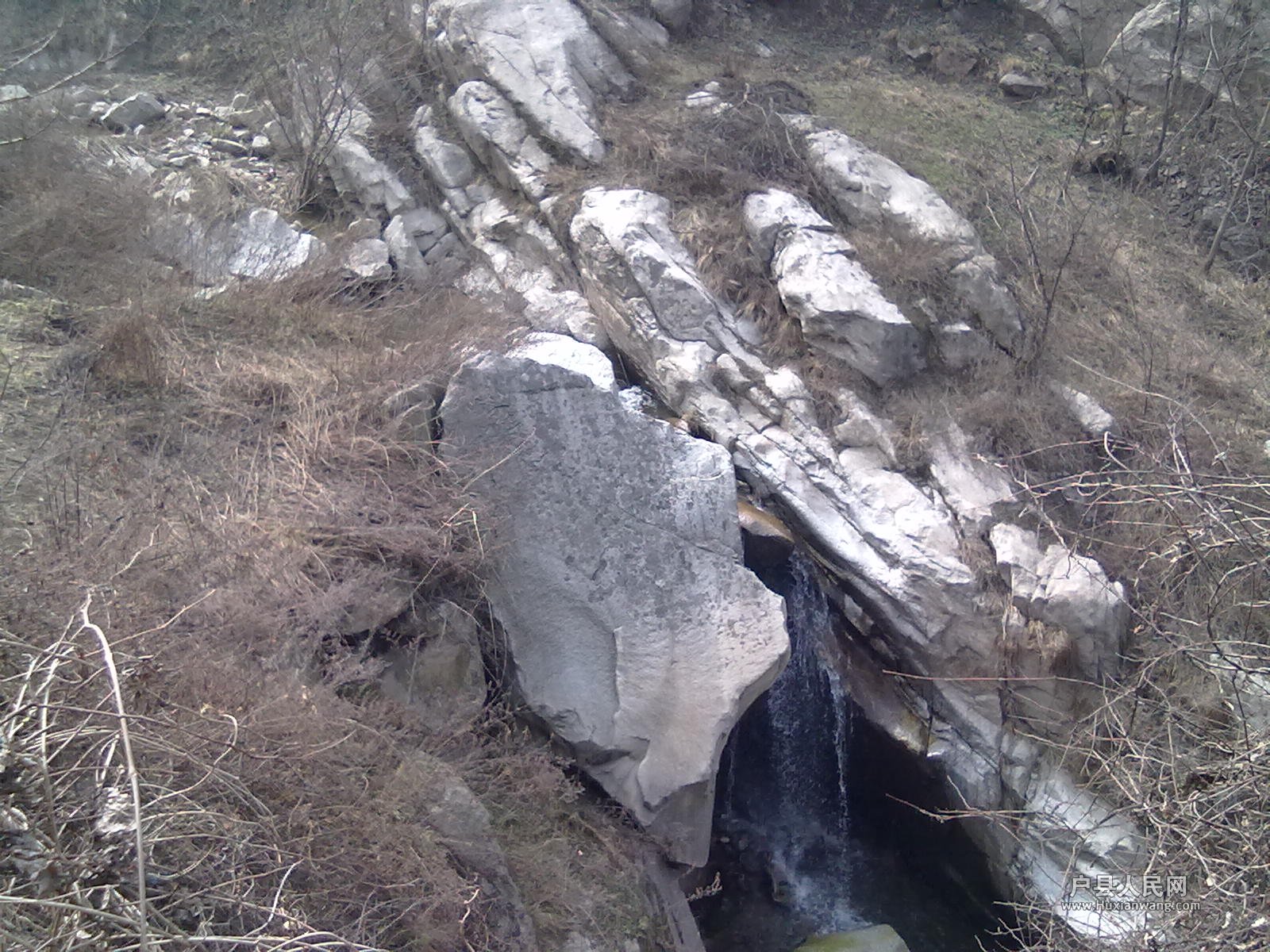 201203172443.jpg