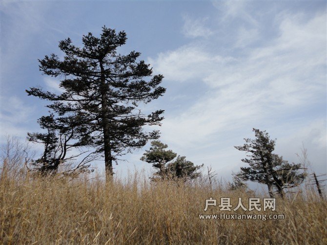 psb05.jpg