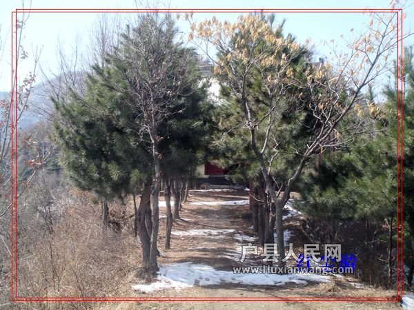 DSC08992_nEO_IMG.jpg