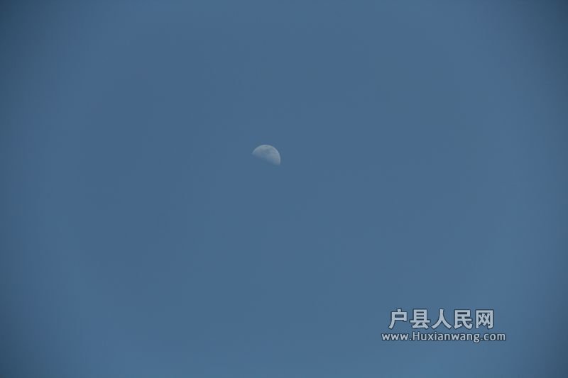 IMG_2897.jpg