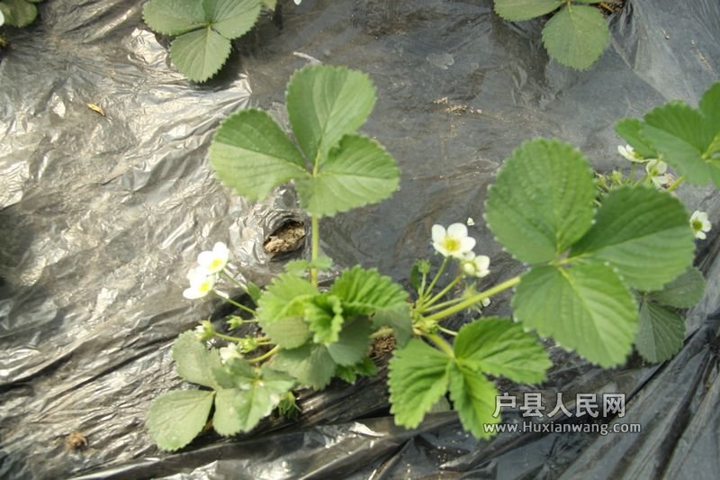  20120402 003.jpg