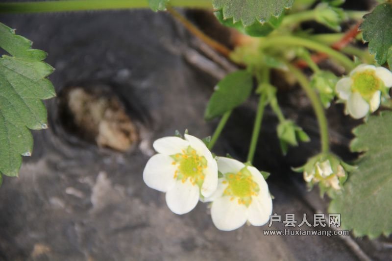  20120402 004.jpg