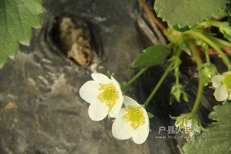 20120402 005.jpg