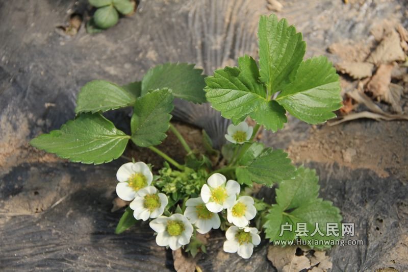  20120402 008.jpg