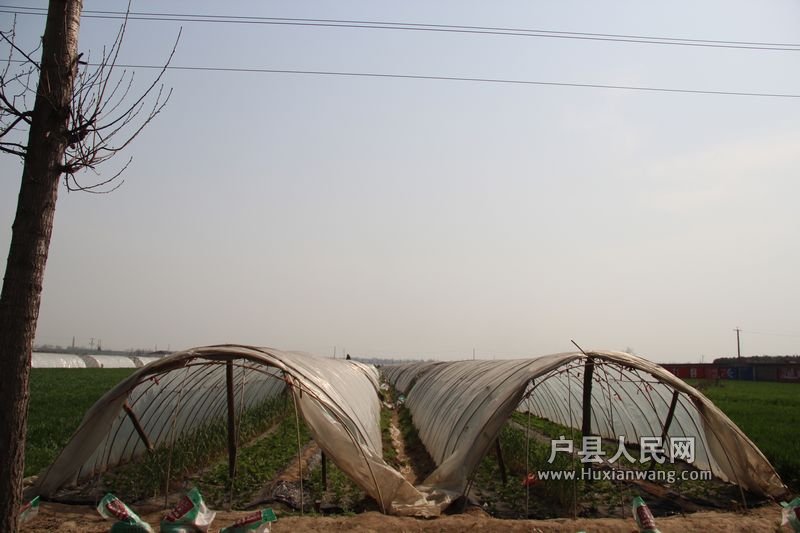  20120402 009.jpg