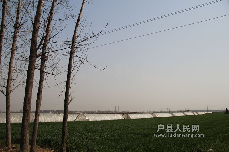  20120402 010.jpg
