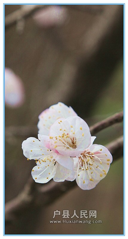 img_0018_.jpg