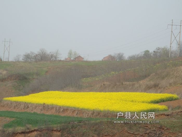 DSC07437.jpg