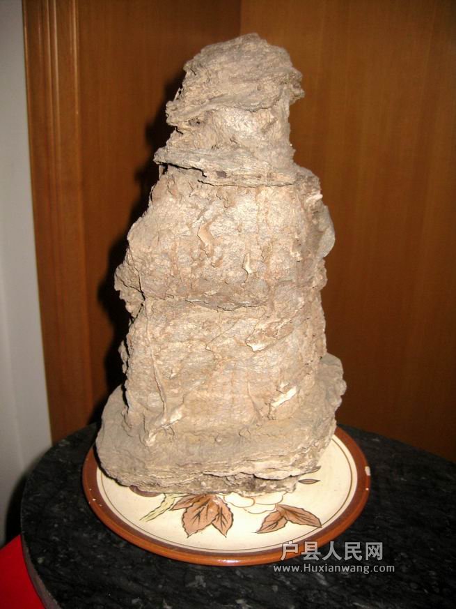 С ع ת IMG_7027.jpg