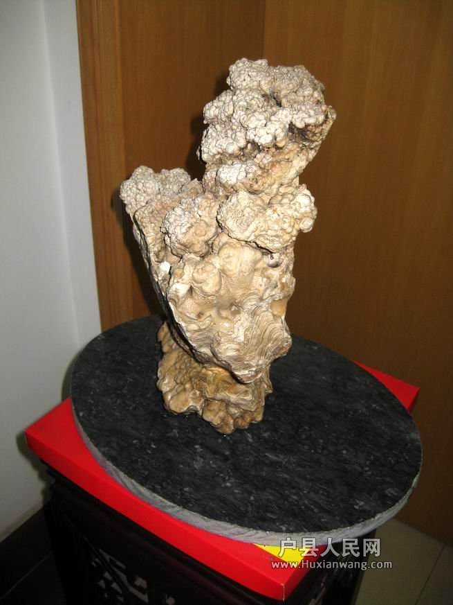 ع С ת IMG_7025.jpg
