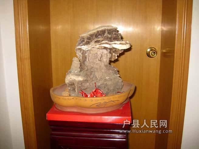 ع С IMG_7016.jpg