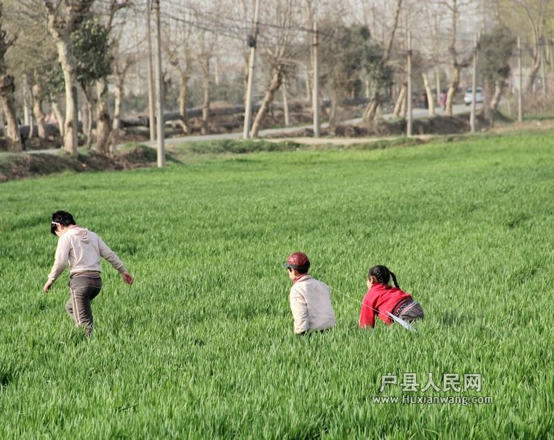  20120402 156.jpg