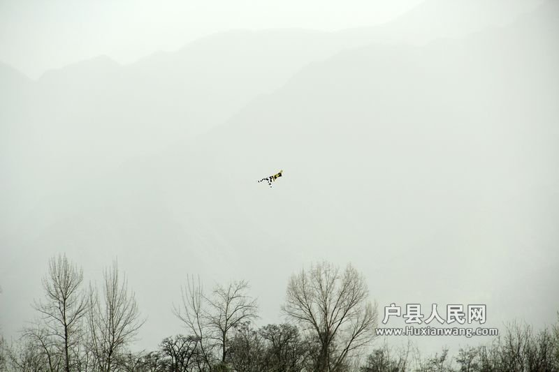  20120402 163.jpg