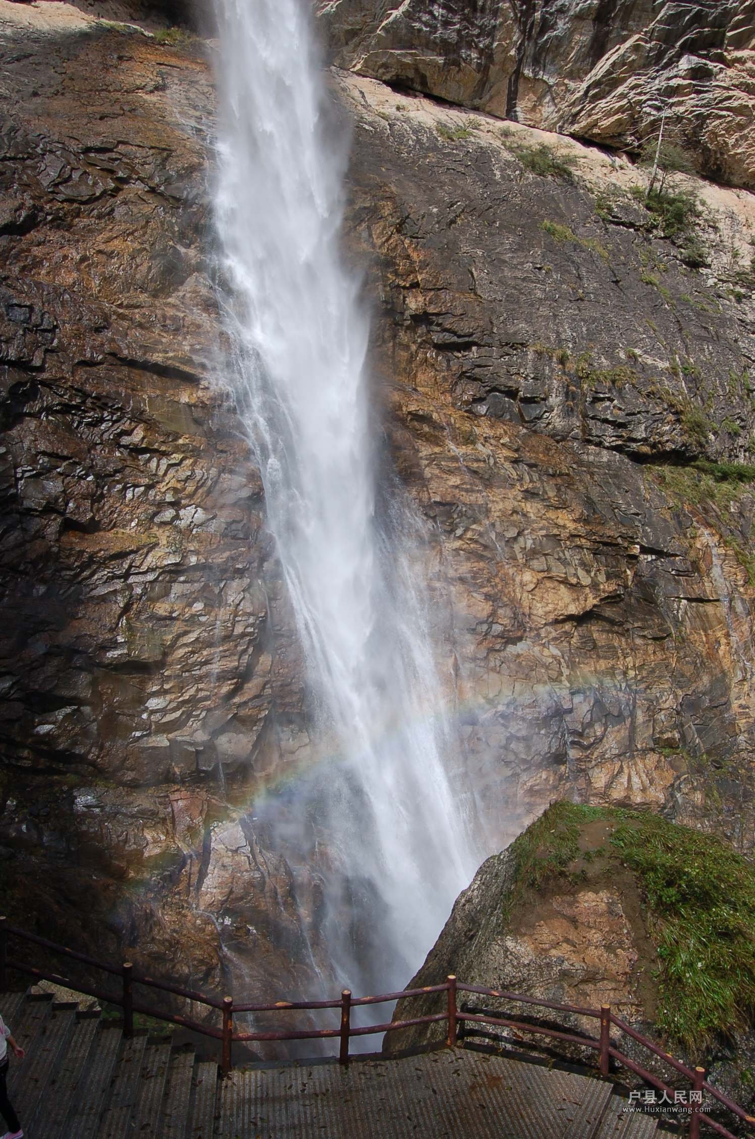 DSC_6519.JPG