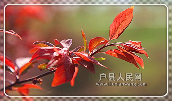 Ƭ 019_.jpg