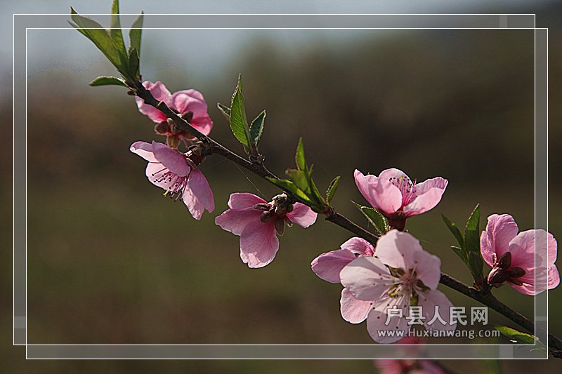 Ƭ 028_.jpg