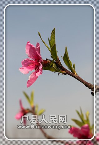 Ƭ 047_.jpg