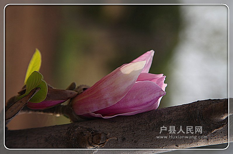 Ƭ 090_.jpg