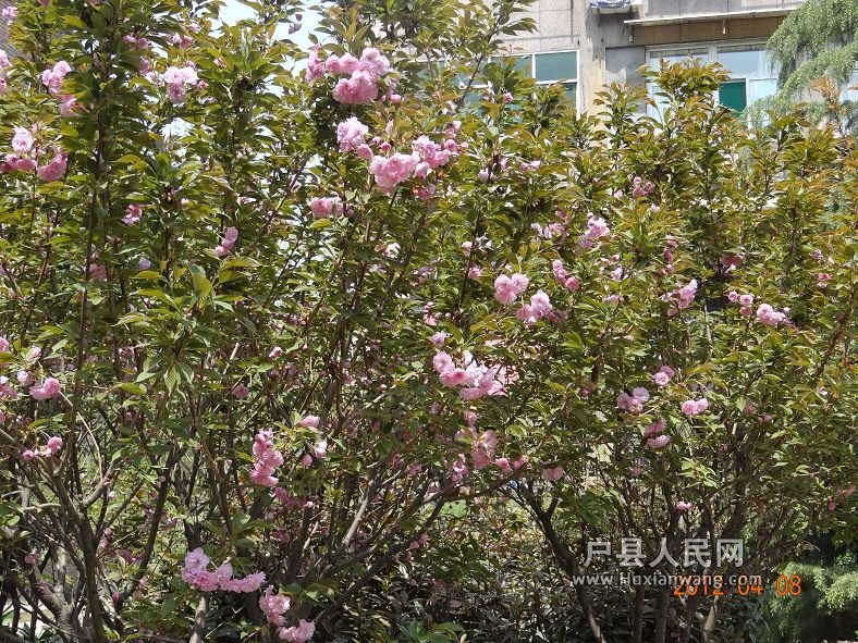 DSC04248.JPG