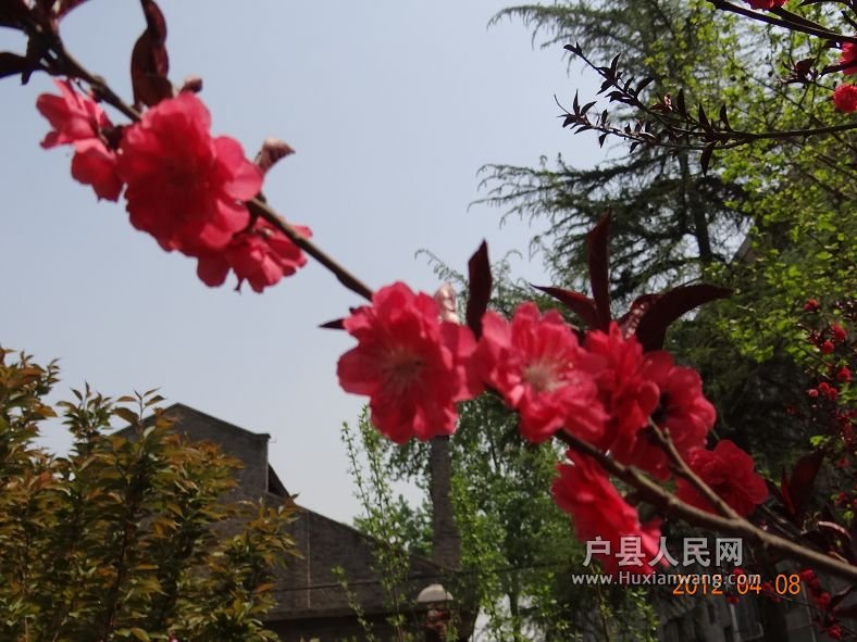 DSC04260.JPG