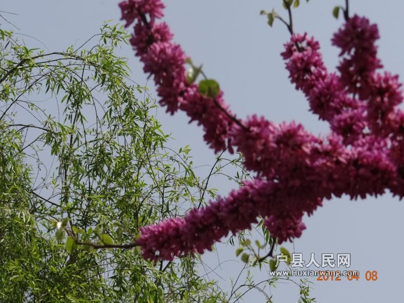 DSC04267.JPG