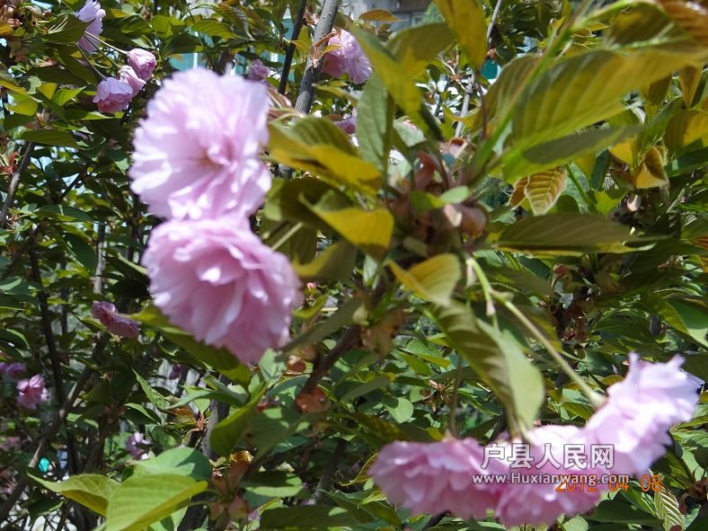 DSC04270.JPG