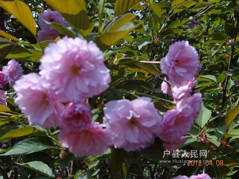 DSC04271.JPG
