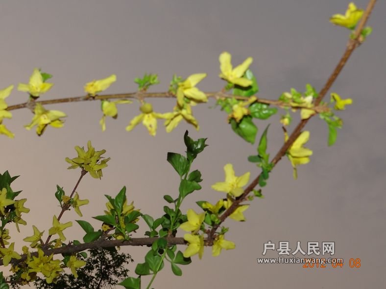 DSC04283.JPG